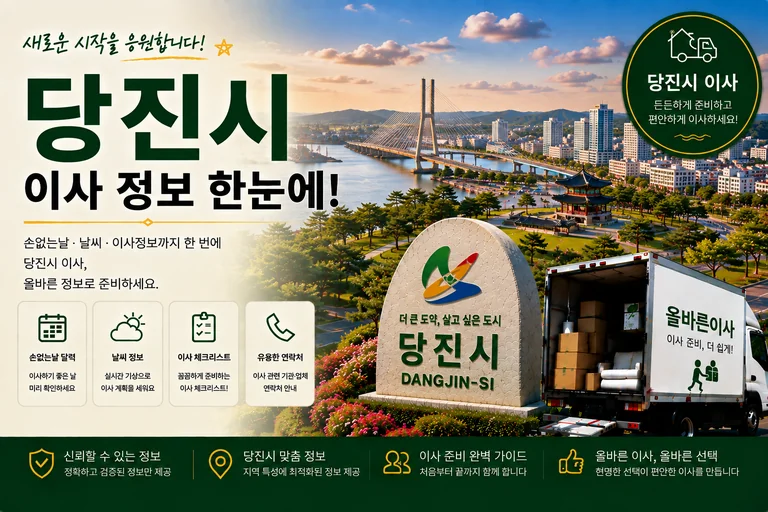 충남 당진시 이사 서비스 일러스트